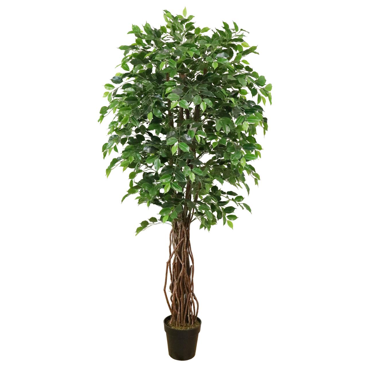 Ficus Premium 180 cm – Botanica Artificial